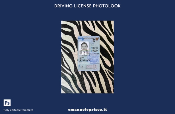 Patente di guida USA Ohio stile verificato secondo il modello FRONTALE photolook